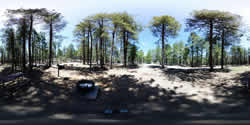 Spillway Campsite 22