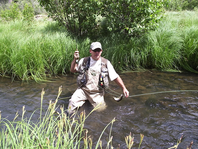 No big one but plenty of small ones.