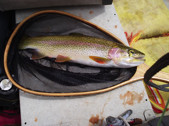 A nice 18+" rainbow from Lee's Ferry!