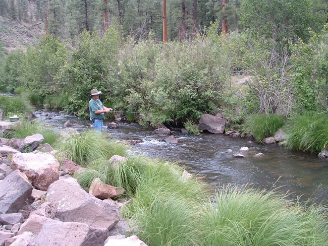 Fishing the East Fork of the Black River.