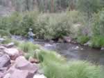 Fishing on the East Fork of the Black River.