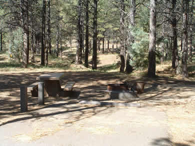 A Campsite at Potato Patch Campground