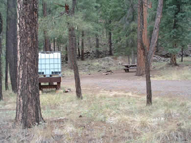 Raccoon Campground