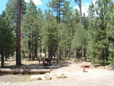 A capsite at Rim Campground