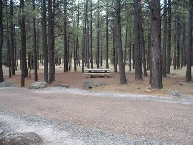 A campsite at Rolfe C. Hoyer.