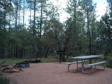 All of the campsites at Sharp Creek are well groomed.