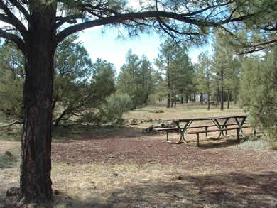 A campsite at Show Low Lake