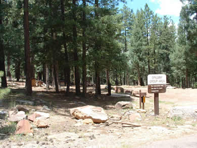 Spillway Group Campsite