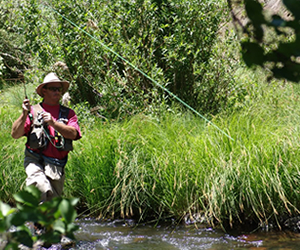 White Mountan Fly Fishing