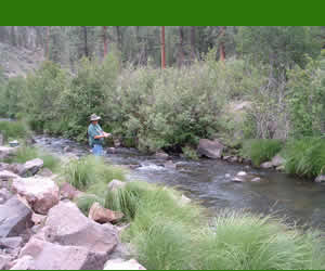 East Fork of the Black River