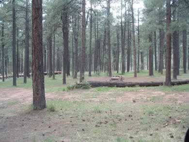 Upper Canyon Creek Campground