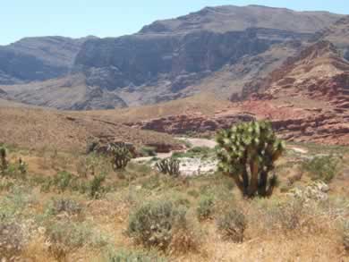 The Virgin River