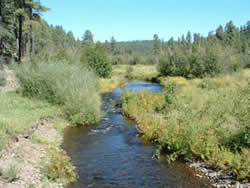 The West Fork of the Black River