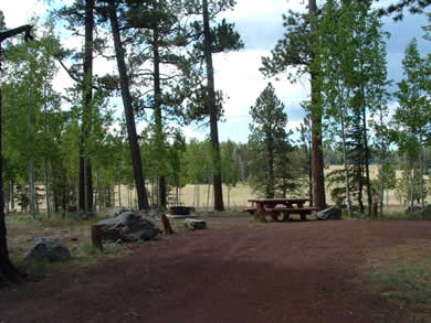 Winn campground is possibly one of the nicest campgrounds in the White Mountains